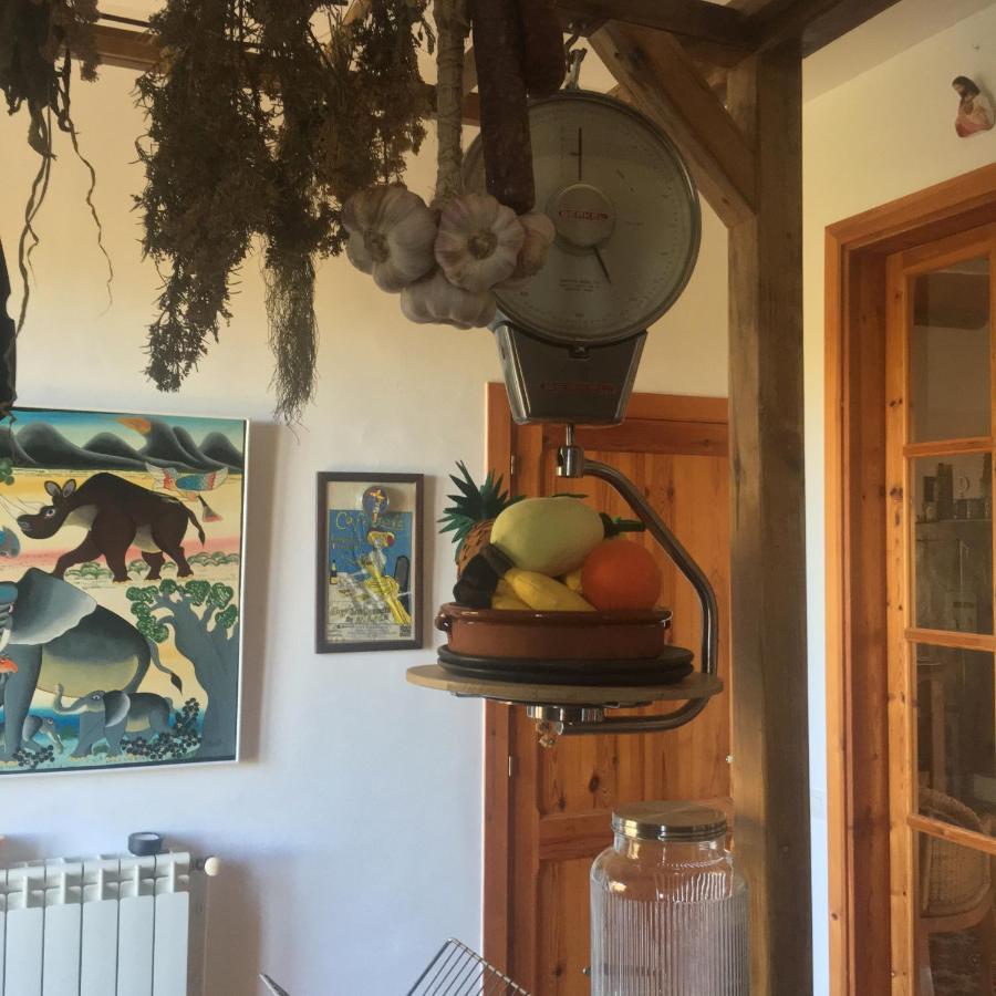 VI L'Art Wine Lodge - Only Adults Piera 외부 사진